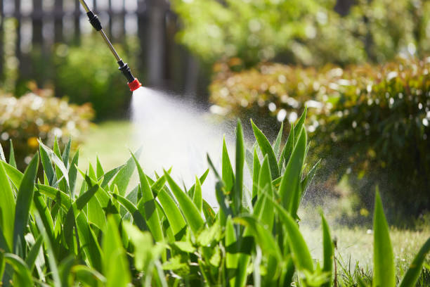 24/7 Emergency Ant Control experts in Mahomet, IL