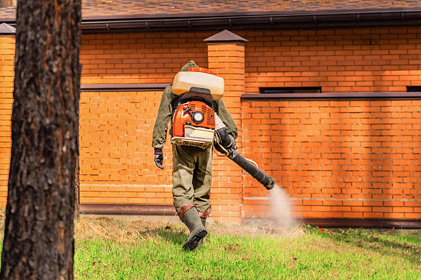 Trusted Emergency Pest Control service in Mahomet, IL - Nex Pest Control